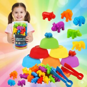 Montessori Counting & Sorting Game - Color Counting Classification Toys with Matching Bowls and Tweezers (Random design)